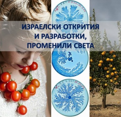 Image 1039699