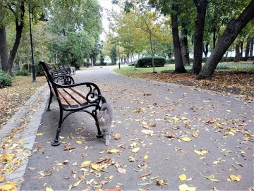 Култови цитати от BG филми ще четем…
