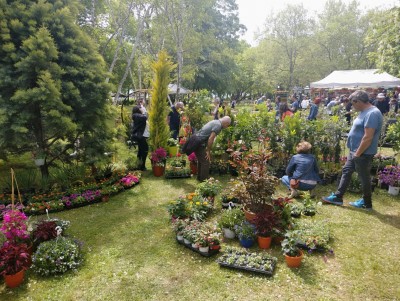 Флора 2023
