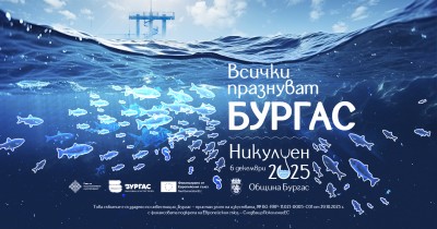 Никулден, програма