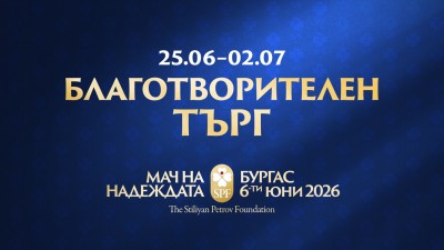 Фондация "Стилиян Петров", благотворителен търг