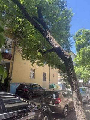 Изображение 1101728