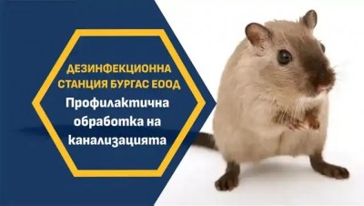 Изображение 1105665