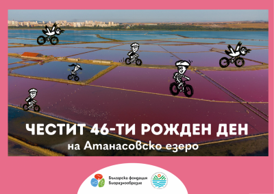 Изображение 1103916